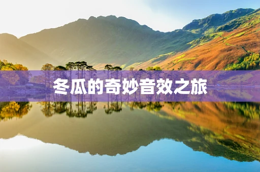 冬瓜的奇妙音效之旅