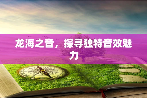 龙海之音，探寻独特音效魅力