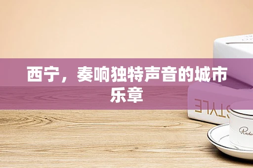西宁，奏响独特声音的城市乐章