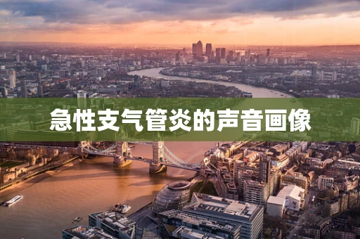 急性支气管炎的声音画像