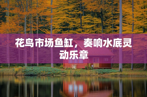 花鸟市场鱼缸，奏响水底灵动乐章