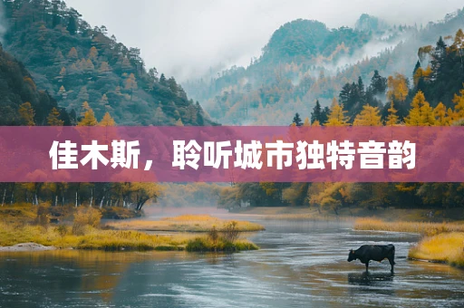 佳木斯，聆听城市独特音韵
