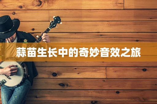 蒜苗生长中的奇妙音效之旅
