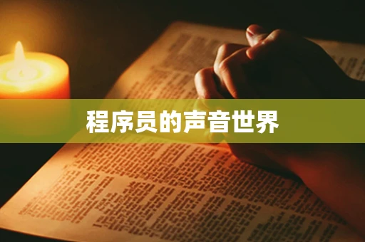 程序员的声音世界