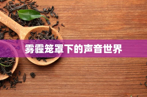 雾霾笼罩下的声音世界
