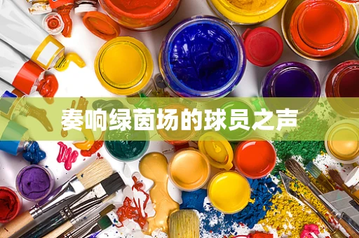 奏响绿茵场的球员之声