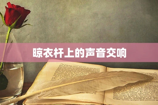 晾衣杆上的声音交响