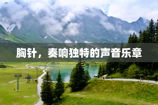 胸针，奏响独特的声音乐章