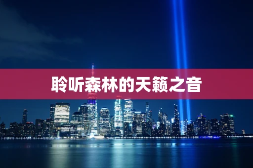聆听森林的天籁之音