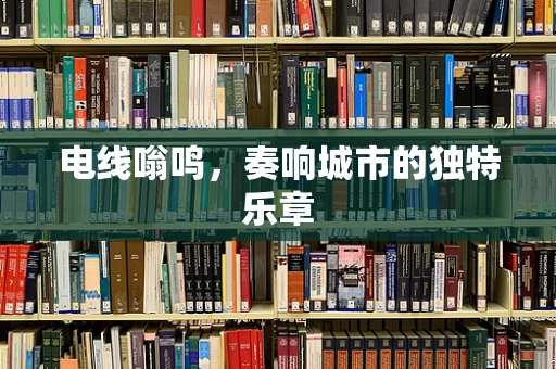 电线嗡鸣，奏响城市的独特乐章