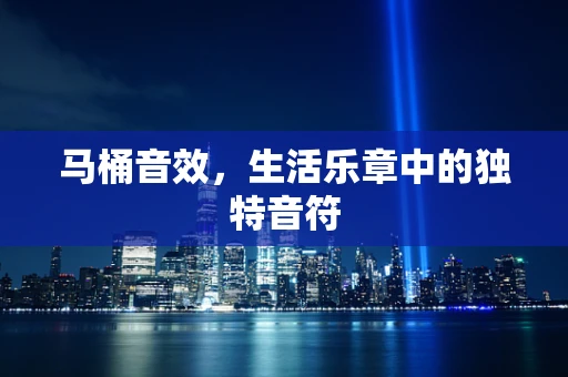 马桶音效，生活乐章中的独特音符