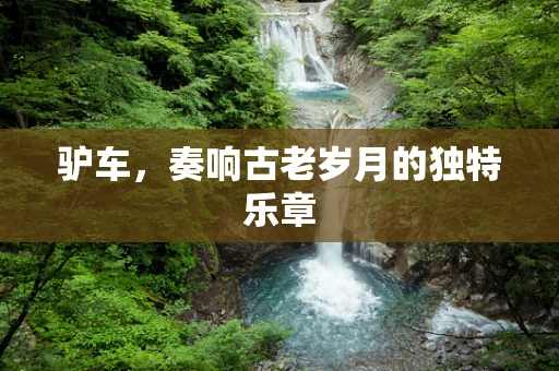 驴车，奏响古老岁月的独特乐章