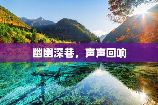 幽幽深巷，声声回响