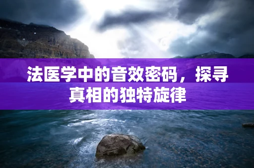 法医学中的音效密码，探寻真相的独特旋律