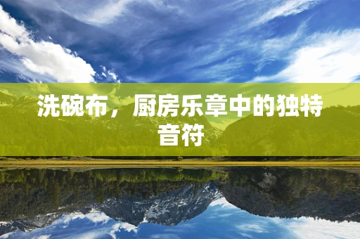 洗碗布，厨房乐章中的独特音符