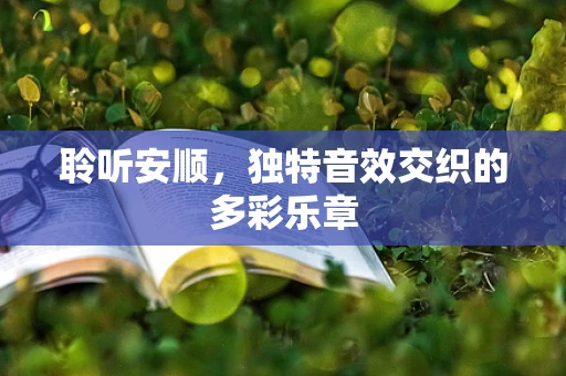 聆听安顺，独特音效交织的多彩乐章