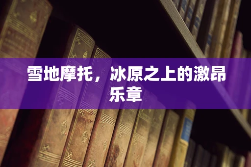 雪地摩托，冰原之上的激昂乐章