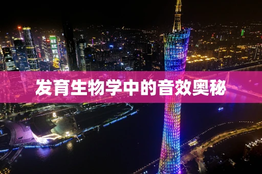 发育生物学中的音效奥秘