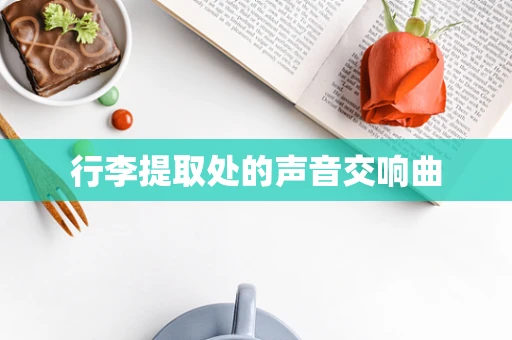 行李提取处的声音交响曲