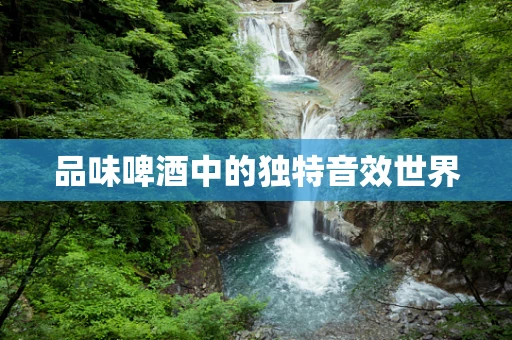 品味啤酒中的独特音效世界