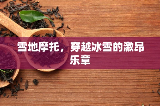 雪地摩托，穿越冰雪的激昂乐章