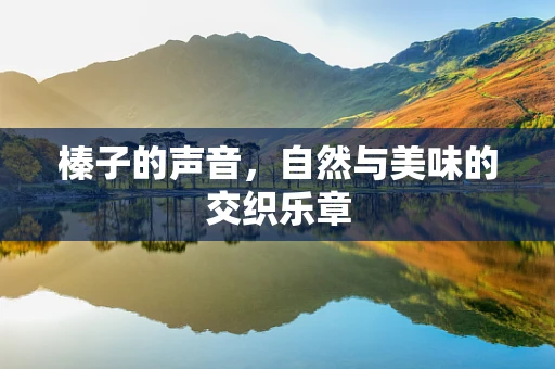 榛子的声音，自然与美味的交织乐章