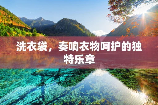 洗衣袋，奏响衣物呵护的独特乐章