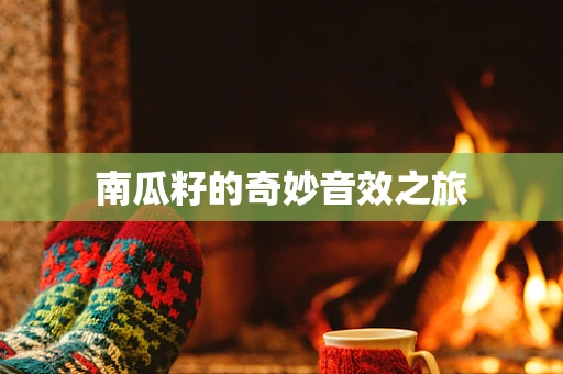 南瓜籽的奇妙音效之旅