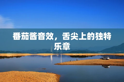 番茄酱音效，舌尖上的独特乐章