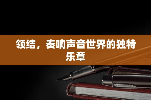 领结，奏响声音世界的独特乐章