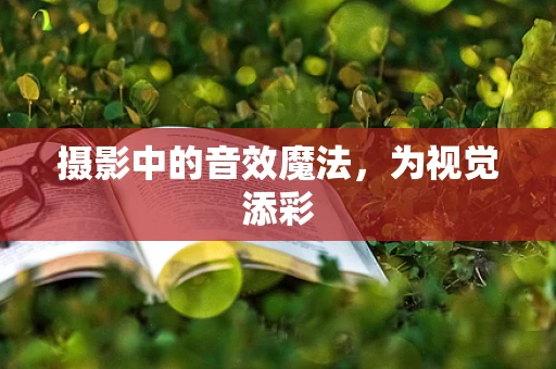 摄影中的音效魔法，为视觉添彩