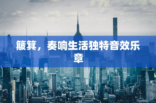 簸箕，奏响生活独特音效乐章