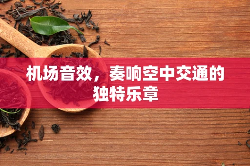 机场音效，奏响空中交通的独特乐章