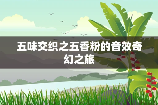 五味交织之五香粉的音效奇幻之旅