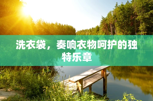 洗衣袋，奏响衣物呵护的独特乐章