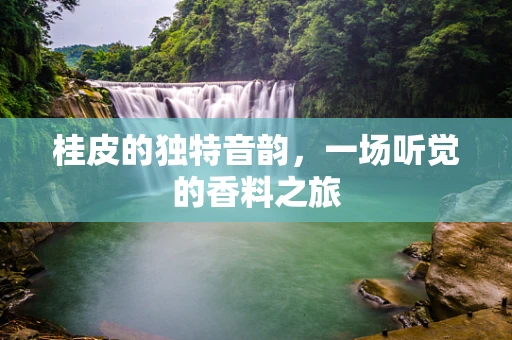桂皮的独特音韵，一场听觉的香料之旅
