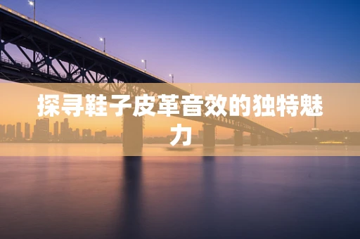 探寻鞋子皮革音效的独特魅力