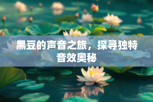 黑豆的声音之旅，探寻独特音效奥秘