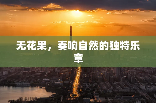 无花果，奏响自然的独特乐章