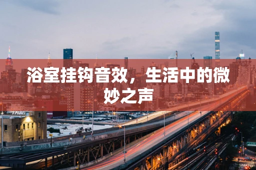 浴室挂钩音效，生活中的微妙之声