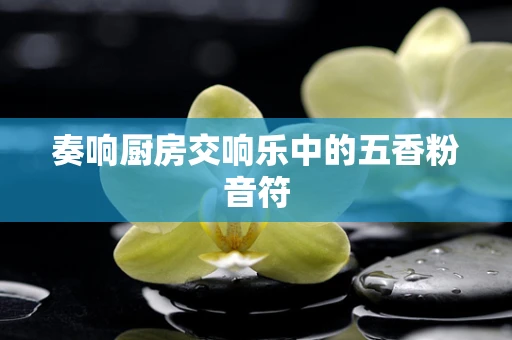 奏响厨房交响乐中的五香粉音符