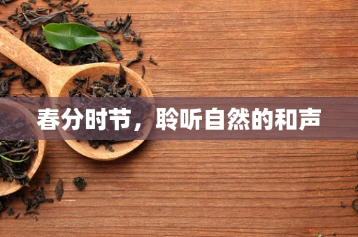 春分时节，聆听自然的和声