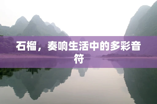 石榴，奏响生活中的多彩音符