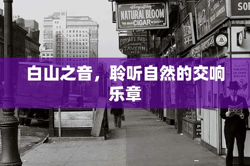 白山之音，聆听自然的交响乐章