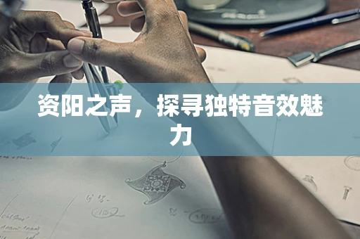 资阳之声，探寻独特音效魅力