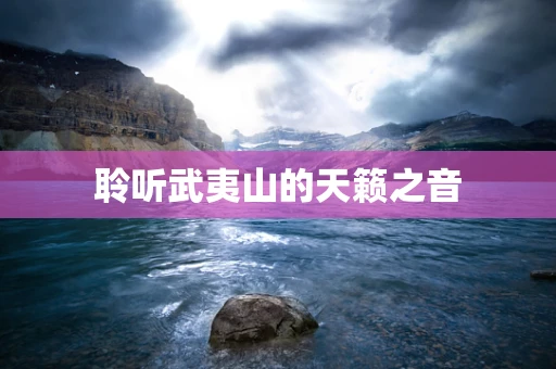 聆听武夷山的天籁之音