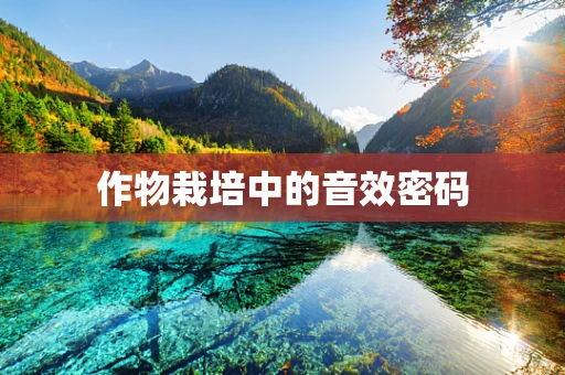 作物栽培中的音效密码