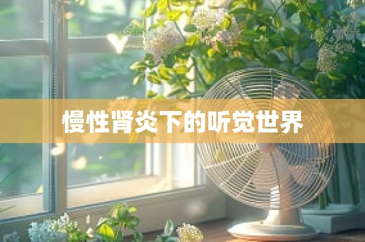 慢性肾炎下的听觉世界