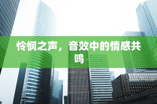 怜悯之声，音效中的情感共鸣