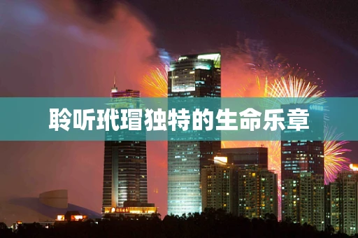 聆听玳瑁独特的生命乐章